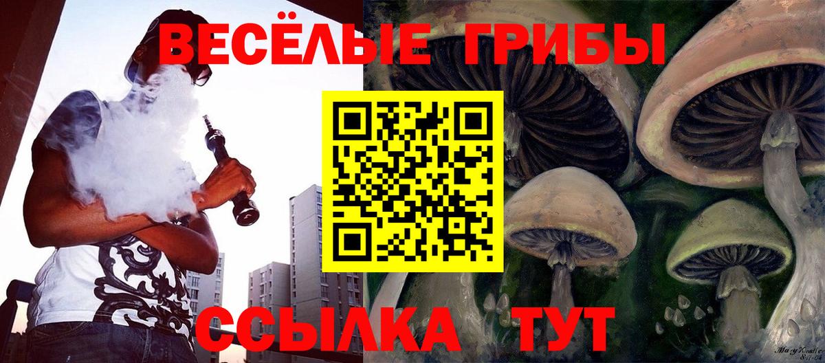 Бугуруслан  Псилоцибиновые грибы мухоморы  Вход с VPN 