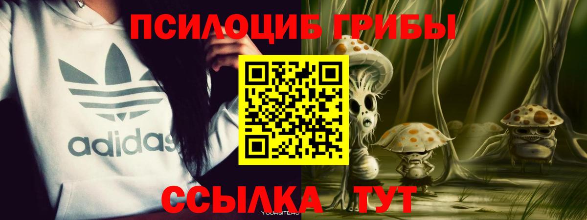 Псилоцибиновые грибы мухоморы Бугуруслан
